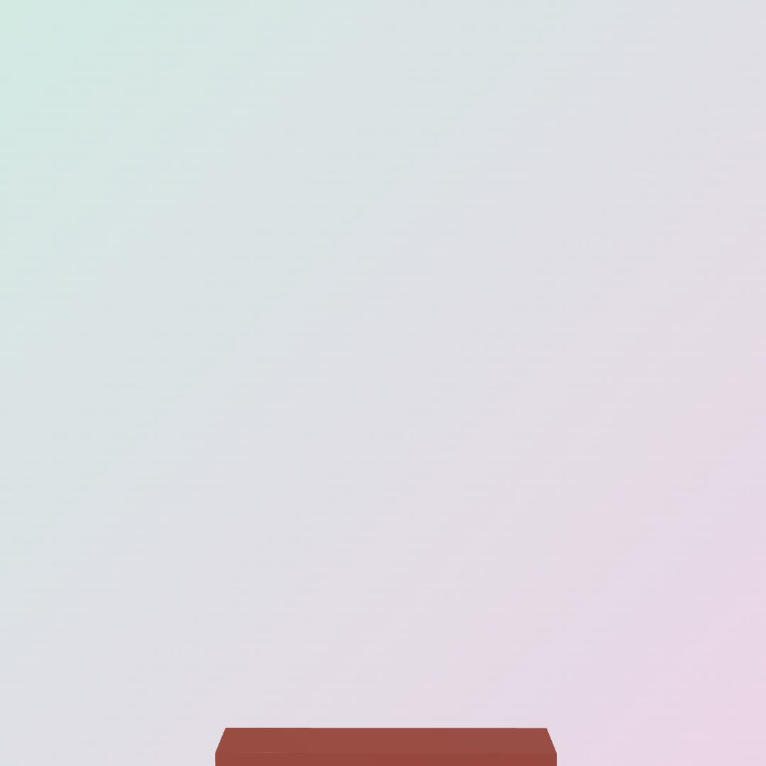 Charger la vidéo : 